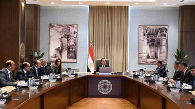 رئيس الوزراء يتابع مع محافظ قنا الموقف التنفيذي لعدد من المشروعات التنموية والخدمية