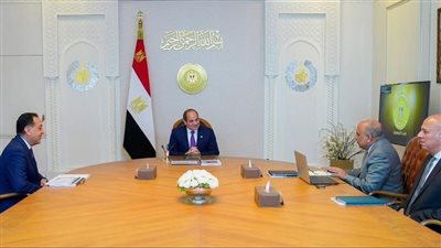 السيسي يطلع على خطة الكهرباء لتأمين صيف 2026 ويؤكد تعزيز الطاقة المتجددة