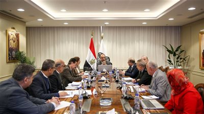 وزير قطاع الأعمال: تنفيذ 737 مشروعًا بـ13 محافظة بتكلفة 22.5 مليار جنيه ضمن «حياة كريمة