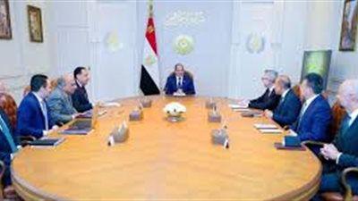 الرئيس السيسي يستقبل قيادات سكاتك وإنفجين لتعزيز استثمارات الطاقة المتجددة