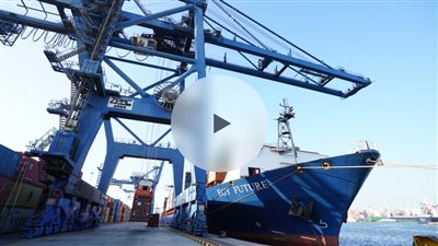 «الإسكندرية لتداول الحاويات» تبدأ إجراءات بيع حصتها في «موانئ مصر» بعد موافقة المجلس