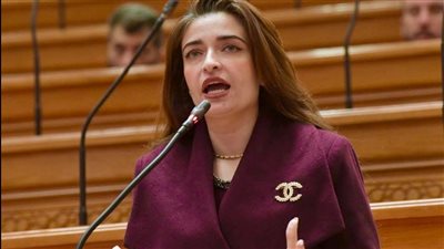 طلب إحاطة لتعديل الحد الأدنى للمعاشات