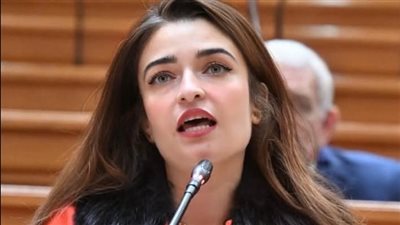 طلب إحاطة بشأن استغاثات المزارعين المتضررين من قرارات الهيئة العامة لمشروعات التعمير 