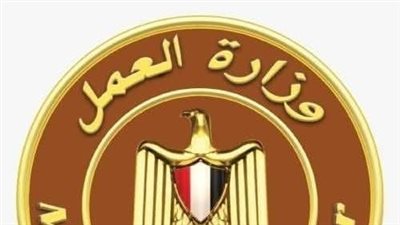 وزارة العمل تحذّر من صفحات وهمية تدّعي تسجيل العمالة غير المنتظمة وصرف منح إلكترونيًا