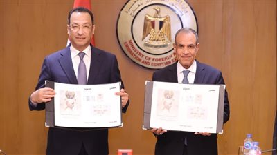 مصر تمد فترة إعفاء الهواتف للمصريين بالخارج إلى 120 يومًا 