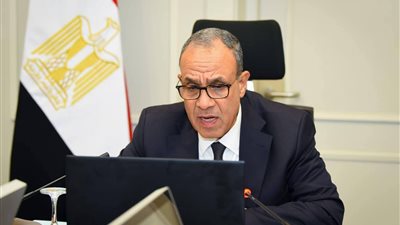 بدر عبد العاطي يطمئن الجالية المصرية في الأردن خلال اجتماع افتراضي 