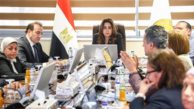 وزيرة التنمية المحلية تتابع مع «UNDP» مشروعات الدعم الفني والتنمية بالصعيد