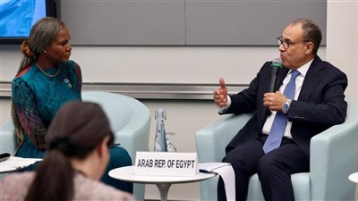 وزير الخارجية: مصر تسعى لتوطين صناعة الدواء وتعزيز الإنتاج الصحي في إفريقيا