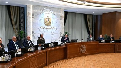 مدبولي: قرارات حكومية موسعة لدعم الاستثمار وتوطين الصناعة وتعزيز الأمن الغذائي والسيبراني