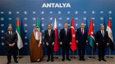 وزير الخارجية: ثوابت مصر تجاه القضية الفلسطينية لا تتغير