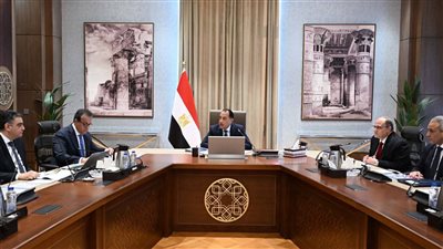 أبو العنين : مصنع «فارما زاد جروب» يُصدر 30% من الإنتاج 