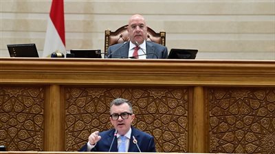 وزير التخطيط أمام النواب: 5.4% نمو متوقع للاقتصاد في 2026/2027.. و«حياة كريمة» أولوية الخطة