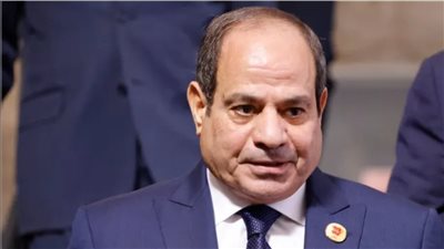 السيسي: القضية الفلسطينية لن تتراجع.. وبدء إعمار غزة ضرورة عاجلة لاستعادة الاستقرار