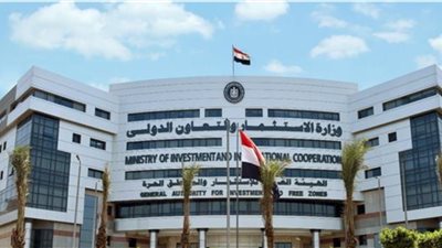  وزارة الاستثمار تضبط حارس عقار مارس السمسرة دون ترخيص بعد فيديو متداول