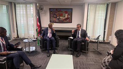 وزير الصحة يبحث مع نظيره الكيني تعزيز التعاون الصحي ونقل التجربة المصرية