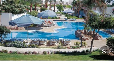 أرباح “شارم دريمز” تقفز 381% خلال 2025