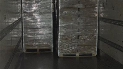 مصر تبدأ تصدير الدواجن لقطر رسميًا.. أول شحنة 300 طن تنطلق اليوم