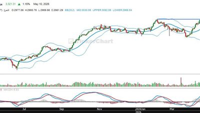 قطاع الأغذية يواصل الصعود بدعم من قوة الطلب وثباته أعلى مستويات الدعم