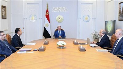 السيسي يوجه بالإسراع في مشروعات الطاقة النظيفة لرفع حصتها إلى 45% بحلول 2028