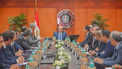 وزير الاستثمار يبحث مع ڤودافون تسريع التحول الرقمي    