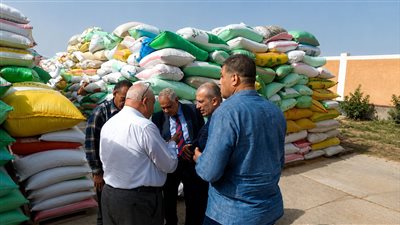 البنك الزراعي المصري يستقبل 464 ألف طن قمح بقيمة 7.2 مليار جنيه خلال شهر