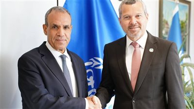 وزير الخارجية يبحث مع المنظمة البحرية الدولية تعزيز التعاون البحري ودعم أمن الملاحة العالمية