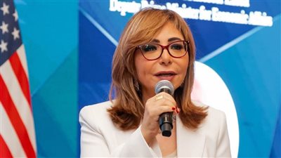 تصريحات جريئة خلف الأبواب المغلقة.. نائب رئيس الوزراء يصف وضع الدين بـ 