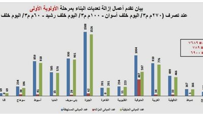 وزارة الري تكشف تفاصيل إزالة تعديات 