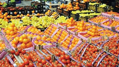 التموين تطرح الطماطم بسعر 20 جنيهًا للكيلو بالمجمعات الاستهل    