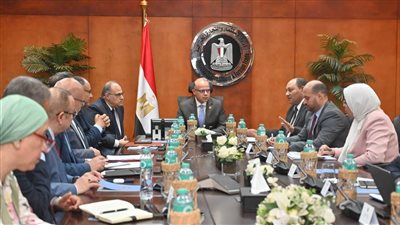 اجتماع حكومي لتعزيز صادرات مصر من الأدوية البيطرية وإضافات الأعلاف