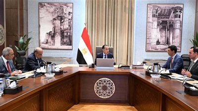 مدبولي يكلف بعرض مبادرة الطاقة الشمسية على مجلس الوزراء