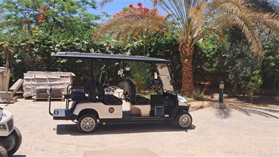 الجامعة الأمريكية بالقاهرة تطور تقنيات للمركبات ذاتية القيادة وتدرس آليات اتخاذ القرارات الأخلاقية