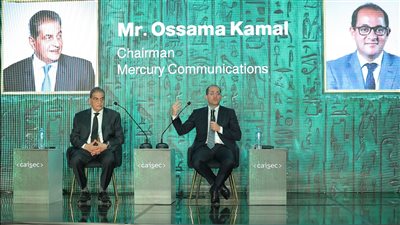وزير المالية: إطلاق تطبيق الضرائب العقارية خلال أيام وتعزيز الحماية الرقمية
