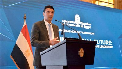 وزير الصناعة يستعرض مستجدات استراتيجية النهوض بالصناعة المصر    