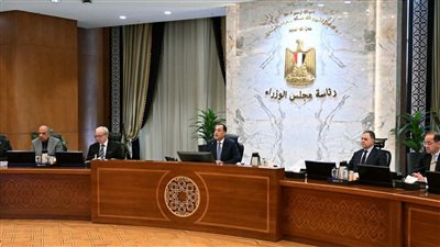 رئيس الوزراء: توريد 4.6 مليون طن قمح من المزارعين حتى الآن وهذا رقم تاريخي لم يتم تحقيقه سابقاً