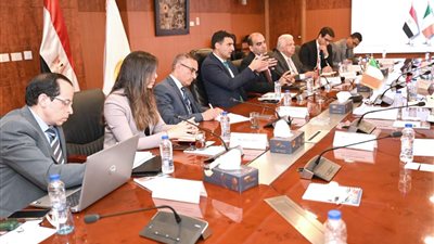 الصناعة تبحث مع أيرلندا تعزيز التعاون في الدواء والطاقة والتكنولوجيا