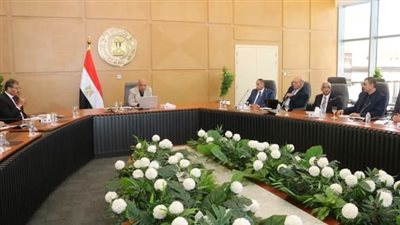 وزير الكهرباء يبحث مع خبراء الجامعات دعم الشبكة القومية والتوسع في الطاقة المتجددة