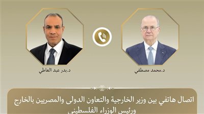 وزير الخارجية يؤكد دعم مصر الكامل للسلطة الفلسطينية خلال اتص