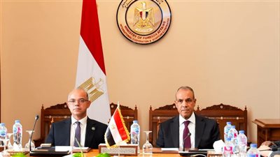 وزيرا الخارجية والاستثمار    