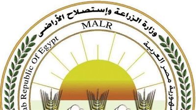 الزراعة: تحصين أكثر من مليون طائر خلال يونيو بالمحافظات