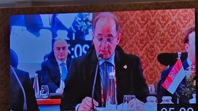 وزير المالية:نتطلع إلى نظام مالى عالمى أكثر استجابة لأولويات النمو والتنمية بالدول الناشئة