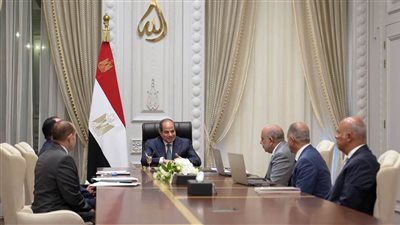 السيسي يوجه بدعم التصنيع المحلي لمهمات الطاقة الجديدة والمتجددة والتوسع في تخزين الكهرباء