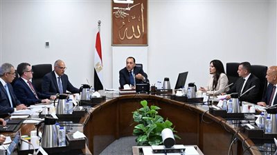رئيس الوزراء يتابع الموقف التنفيذي لمشروعات قطاع مياه الشرب والصرف الصحي بمحافظة أسوان