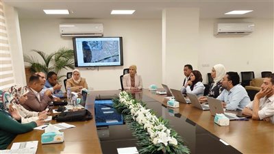 إعلانات الطرق بالقاهرة