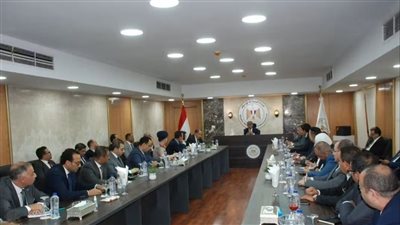 ضياء رشوان: تدفق المعلومات الصحيحة لوسائل الإعلام يقطع الطريق على مروجي الشائعات