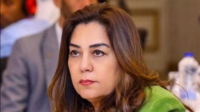 «التنمية المحلية والبيئة»: إنهاء 45 طلبًا بباب الشعرية وغلق وتشميع 12 محلًا بوسط القاهرة وإصدار 150 نموذج تصالح بالمرج
