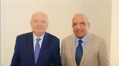 مصر وإيطاليا تبحثان تسريع تنفيذ مشروع الربط الكهربائي بقدرة 3000 ميجاوات
