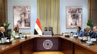 بتوجيهات رئاسية.. الحكومة تبدأ تنفيذ مشروع «تخضير القاهرة» وتشجير الدائري والمحاور الرئيسية