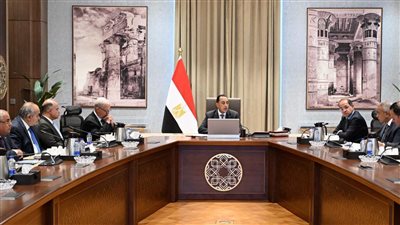 رئيس الوزراء يتابع مستجدات إعادة هيكلة وتطوير وحوكمة الشركات المملوكة للدولة