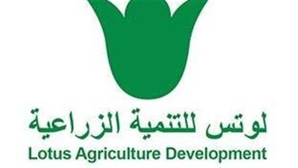 «لوتس للتنمية» ترفع سقف قرض المساهم الرئيسي إلى 100 مليون جن 